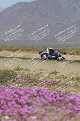 media/Feb-04-2023-SoCal Trackdays (Sat) [[8a776bf2c3]]/Turn 15 Inside Blooming (1050am)/